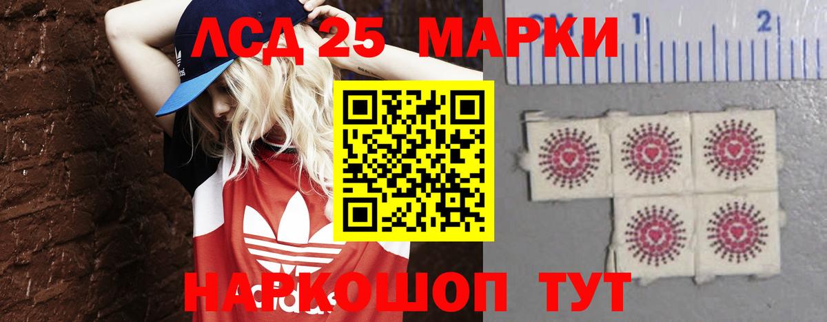 ЛСД экстази кислота  MEGA онион  ЛСД экстази кислота  Бердск  Вход с VPN  Лсд 25 экстази 