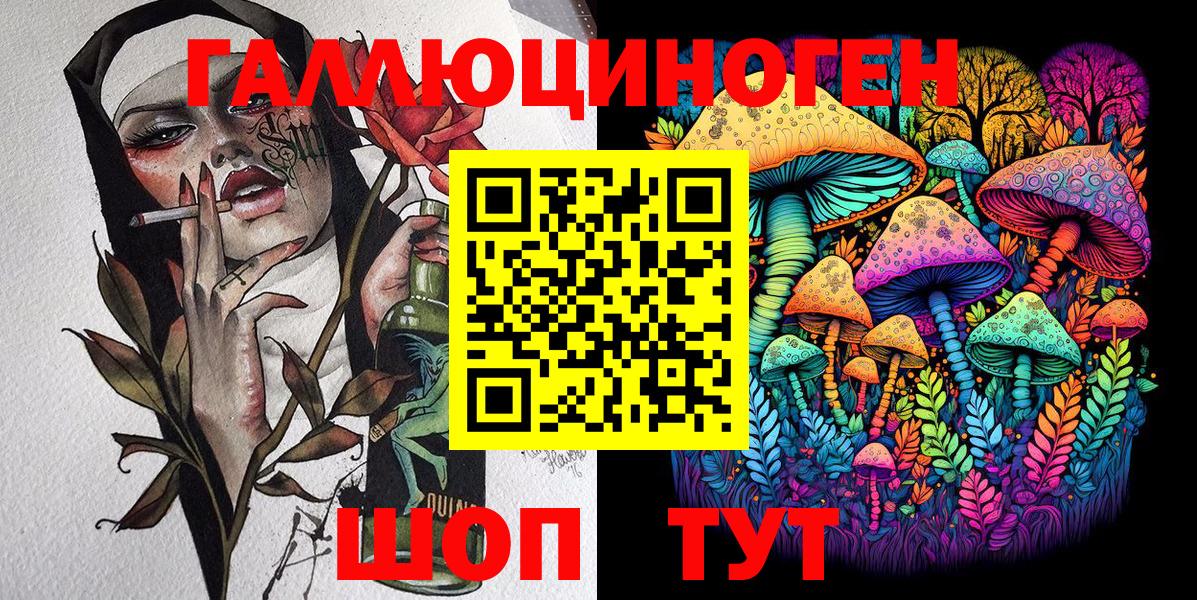 купить наркотик  Галлюциногенные грибы Psilocybe  Вход с VPN  Бердск 